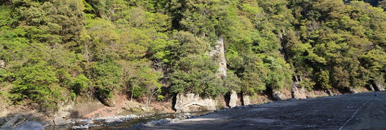 神奈川県 オートキャンプ場クラブ