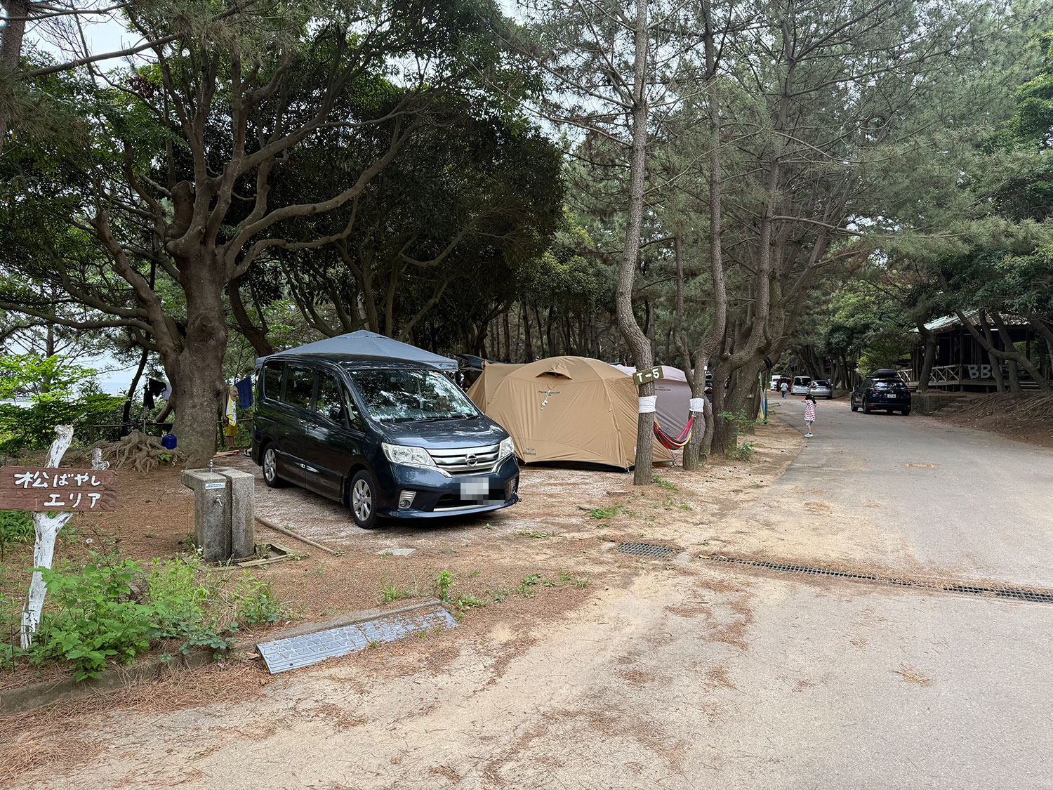 松ばやしエリア