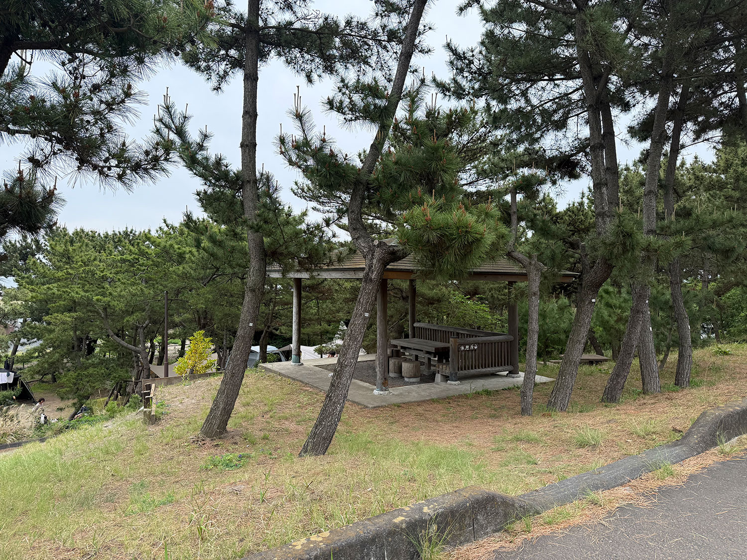 大洗サンビーチキャンプ場 高台エリア